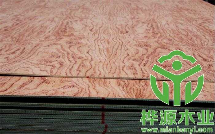 花梨木饰面背景墙.jpg 花梨木饰面背景墙.jpg